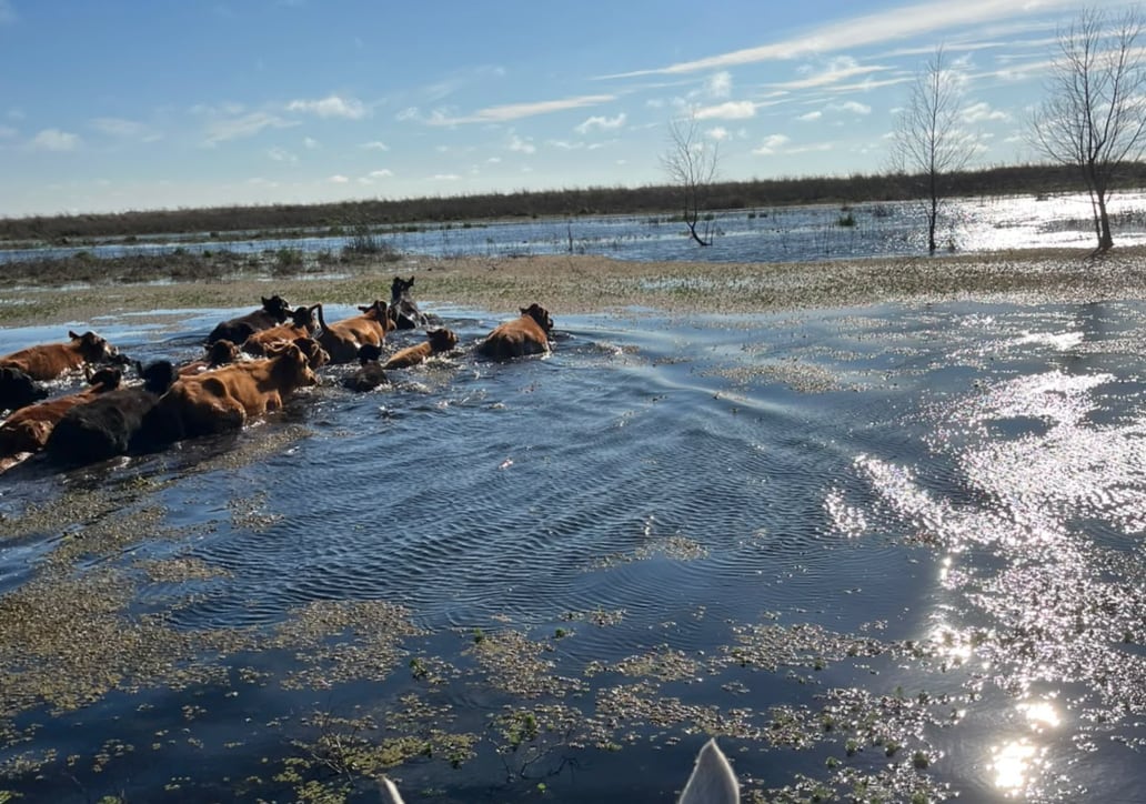 Los primeros impactos de El Niño y un debate que comienza a asomar