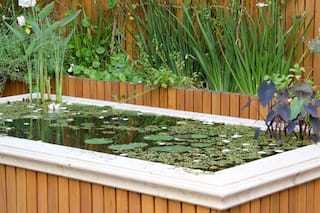 Estanques: siete propuestas para llevar frescura al jardín