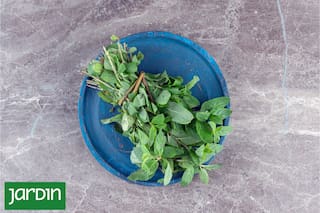 La hierba andina que vuelve con fuerza