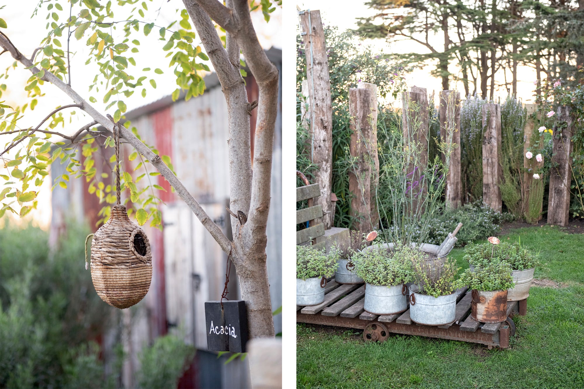 En la acacia, un nido donde habitan los pájaros de la zona. Macetas en viejos piletones de chapa y varios elementos típicos de campo dan al lugar su esencia campestre