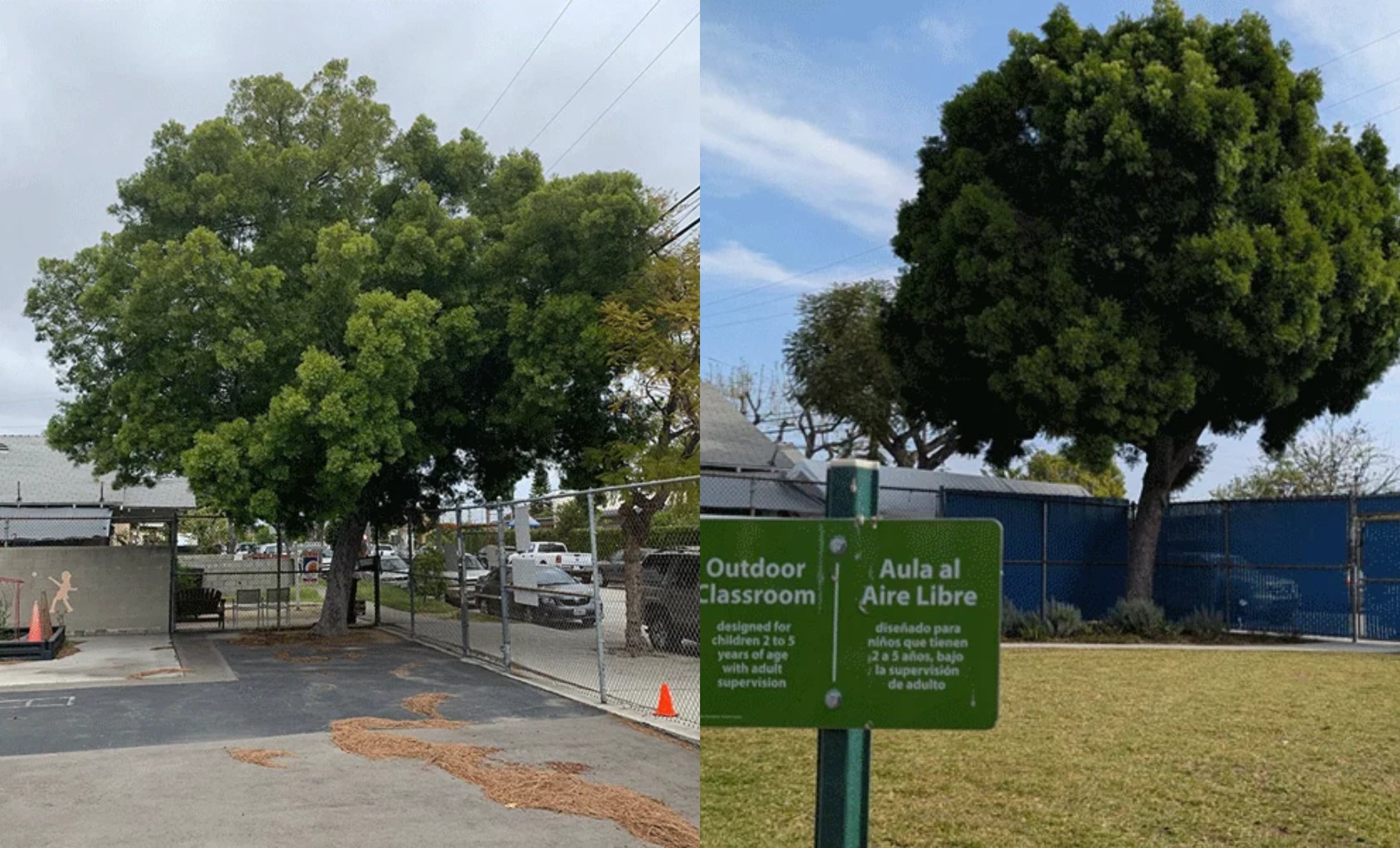 El cambio en una de las escuelas de California bajo el programa Green Schoolyards de CAL FIRE