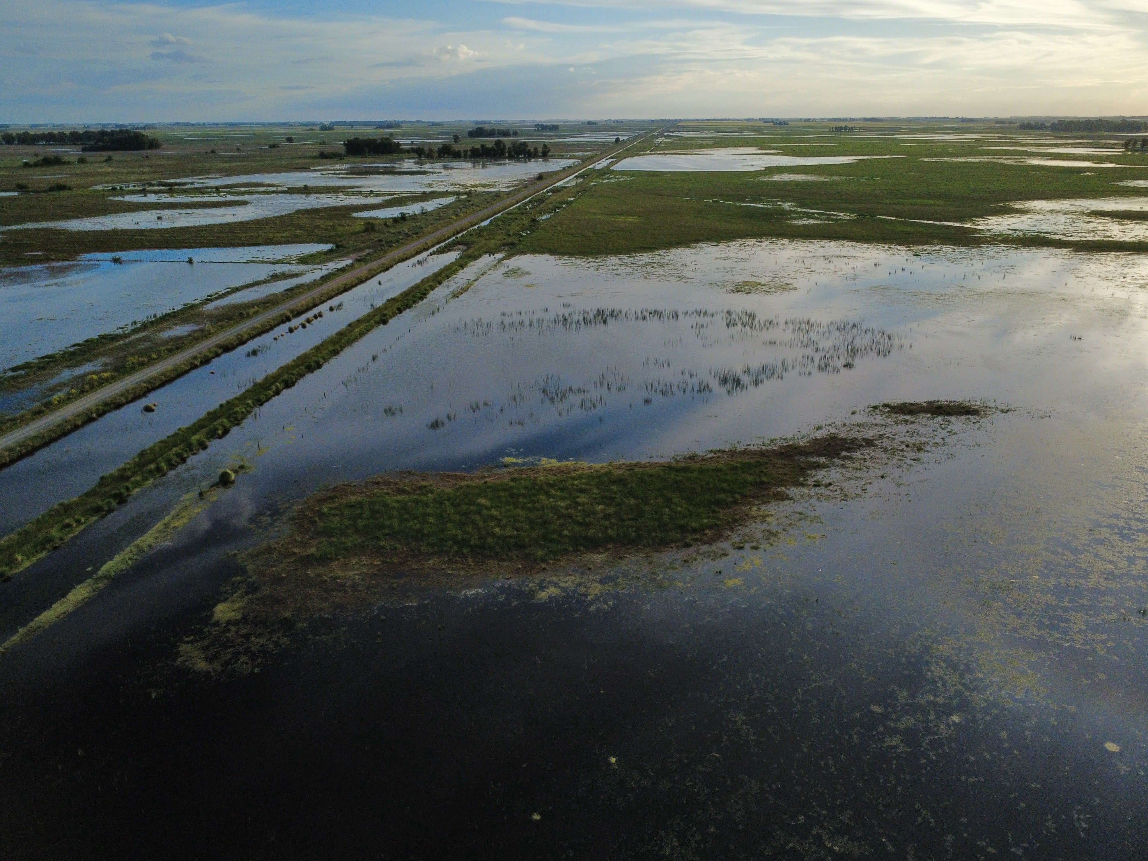 Inundaciones: cómo son los créditos del Banco Nación para los productores afectados