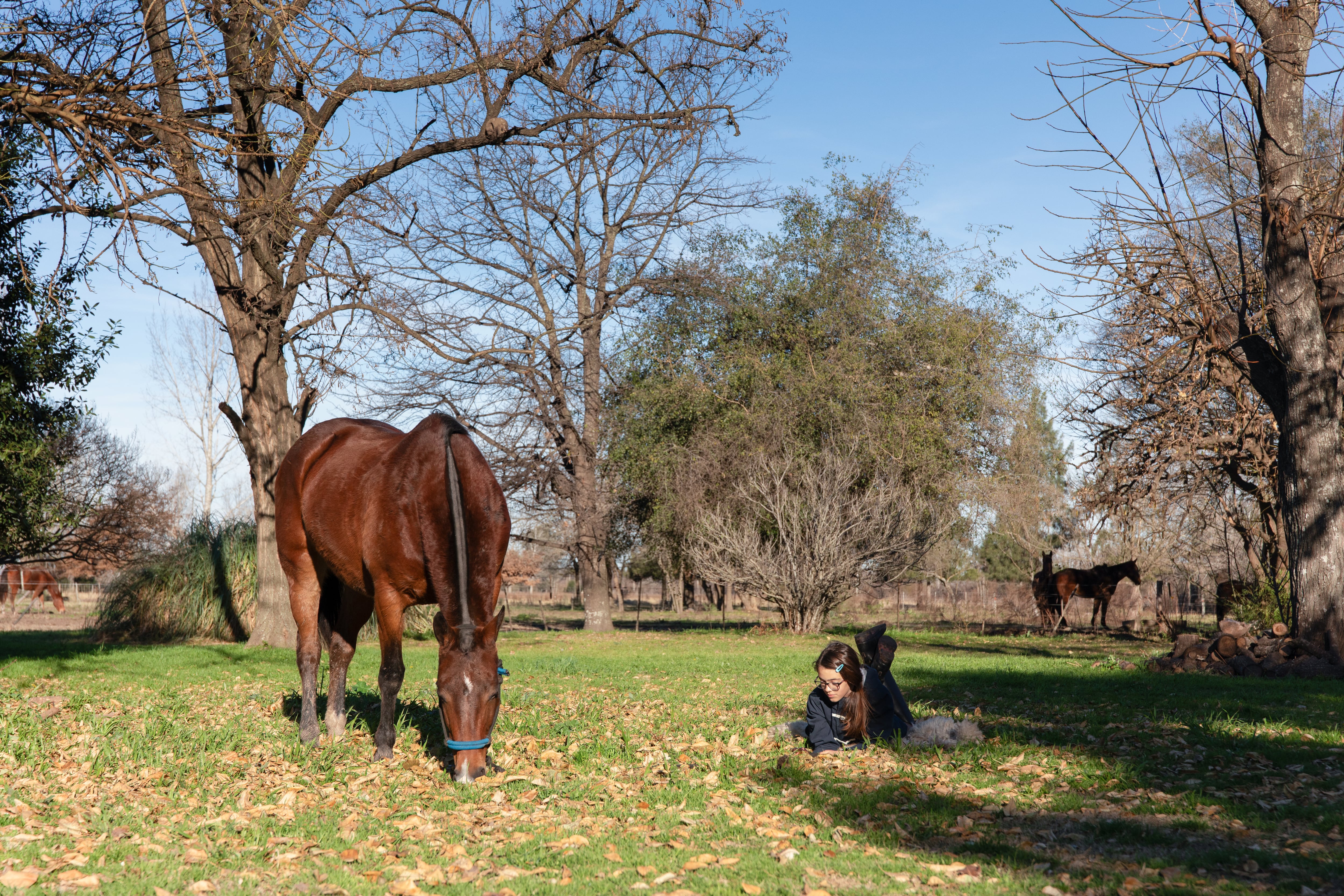 A una hora de la ciudad, el pueblo que fue cuna de un deporte criollo y es ideal para una escapada 8 La vida rural de Las Heras