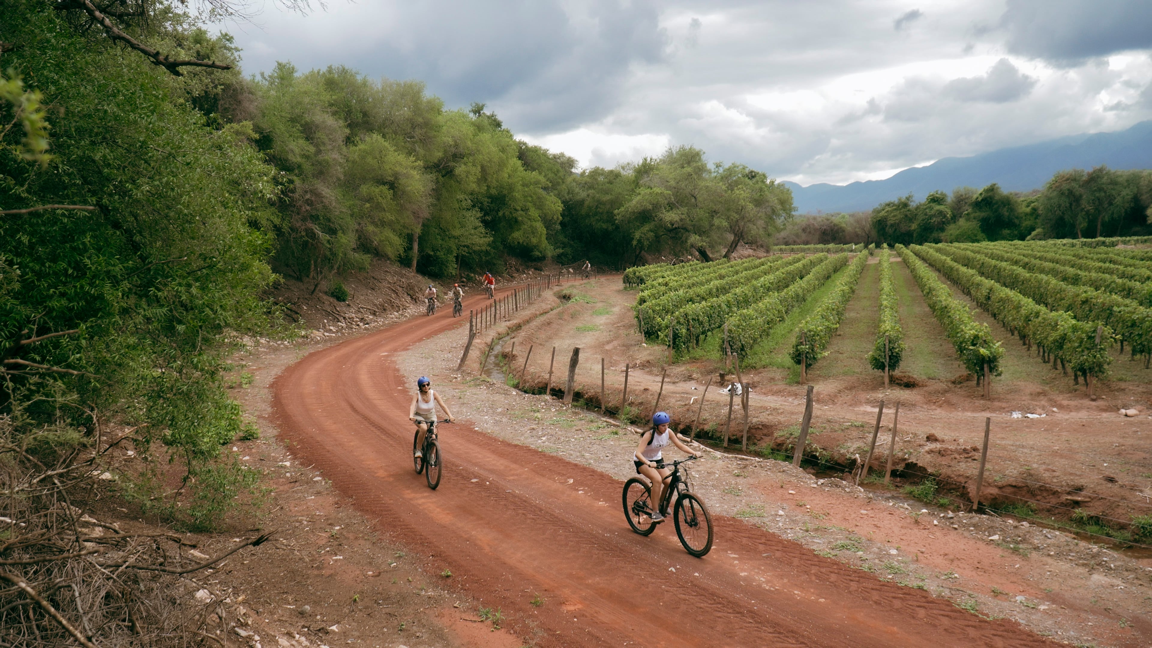 Paseo en bicicletas eléctricas por los senderos de la finca, descubriendo árboles autóctonos como Cardones centenarios (Pachycereus Pringlei) y fauna local.