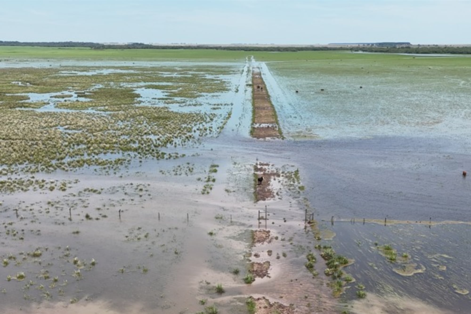 “El agua me tapó”: diluvió en Corrientes y se desató una crisis productiva