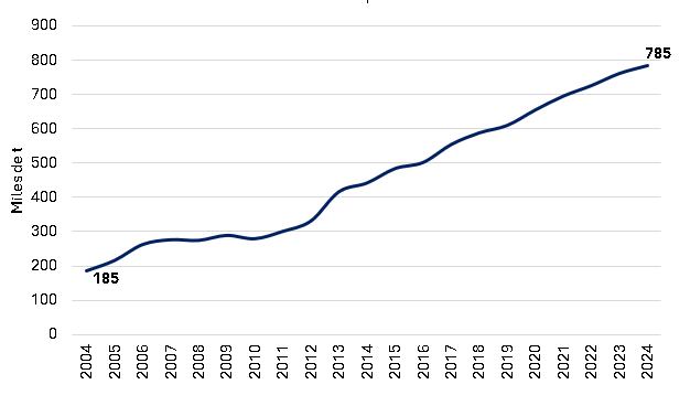 Evolución de la producción de carne porcina desde 2004