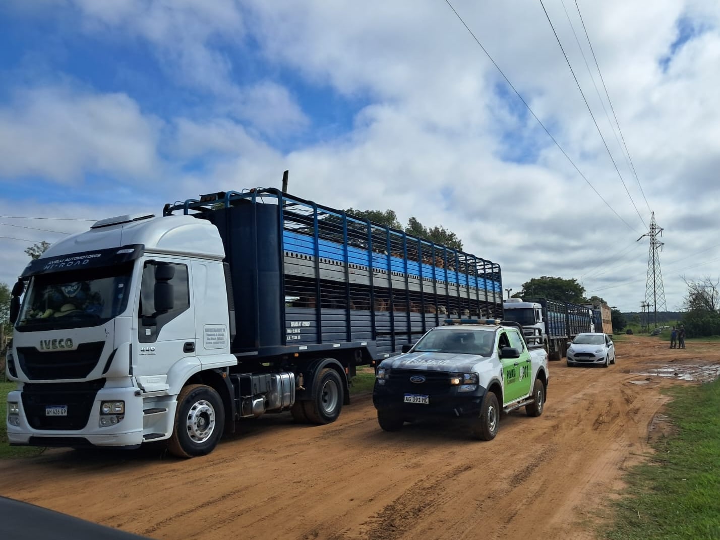 Murieron de hambre 18 vacas: ordenaron el “inmediato traslado” de 184 animales retenidos por la Justicia