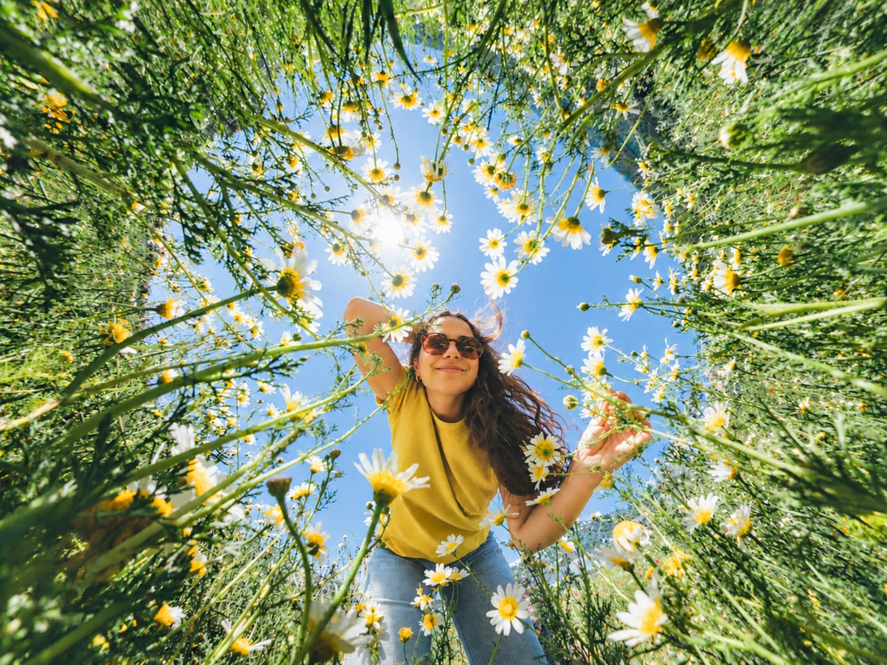 Alergias: la inflamación invisible detrás del mal humor de primavera