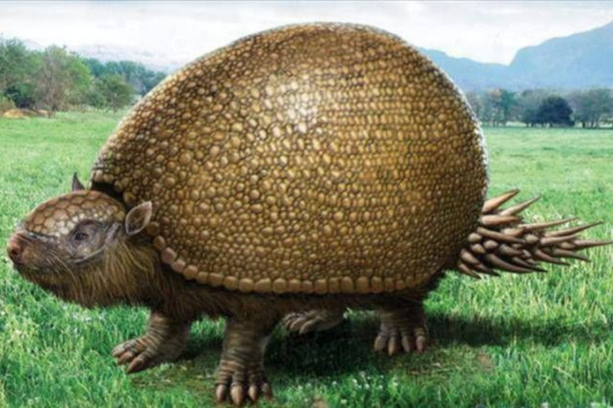 Hallazgo prehistórico en Neuquén: un vecino descubrió los restos de un mamífero gigante