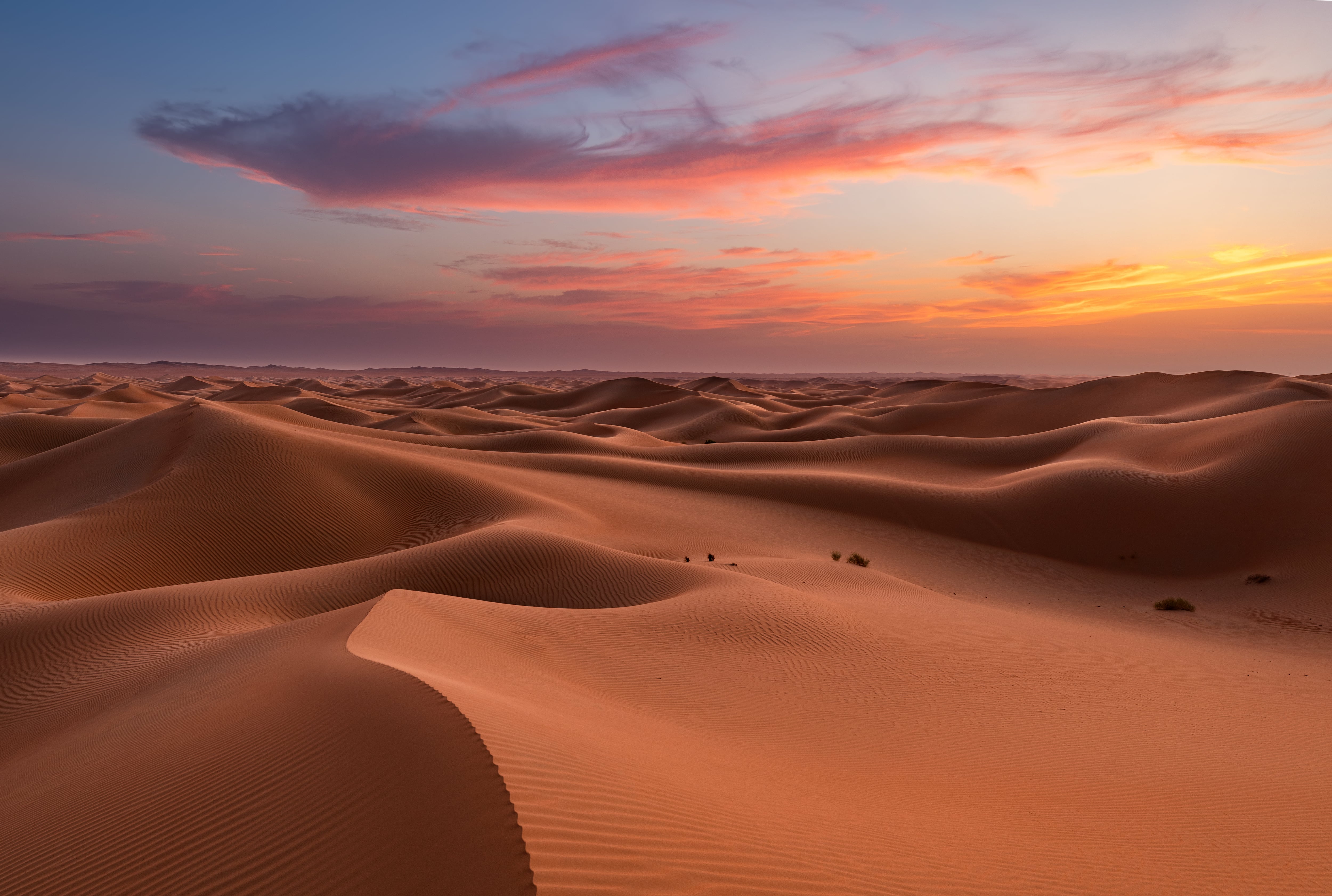 Las dunas del desierto de Liwa en Abu Dhabi EAU