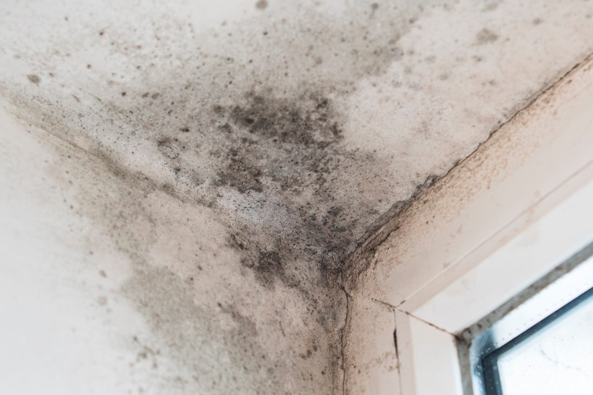 La humedad y filtraciones entre los departamentos es otro conflicto recurrente entre vecinos