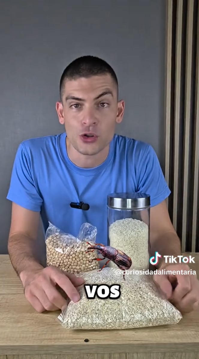 Los gorgojos son escarabajos que se desarrollan en harinas, cereales y legumbres