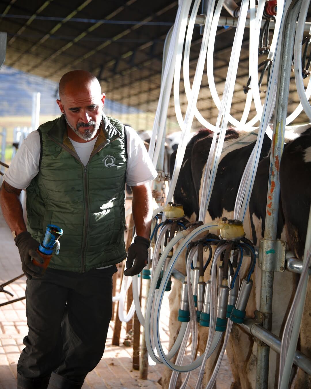 La familia tiene dos robots de ordeño en Tafí del Valle