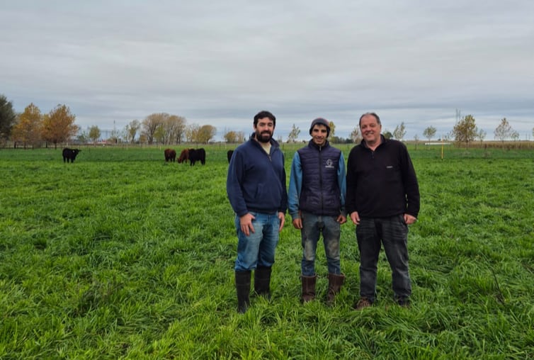 En un campo produjeron un 70,8% más de carne con una abrupta caída de la huella ambiental y el caso abre la puerta a un mercado digital