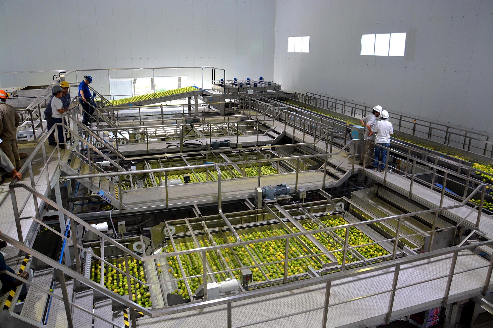 La producción citrícola ofrece señales menos favorables en el mediano plazo