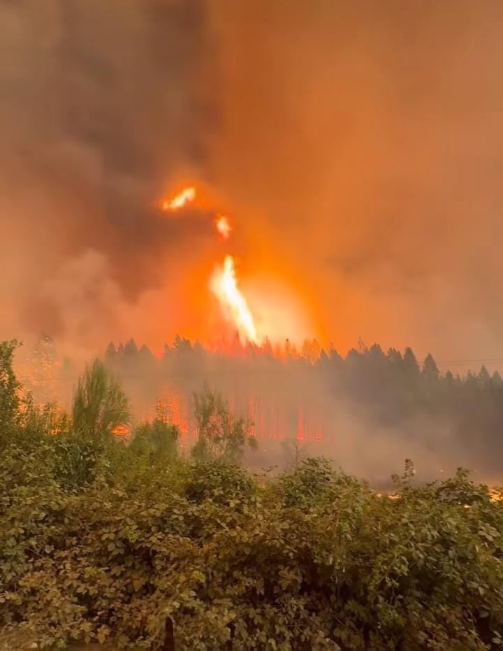 Las fuertes ráfagas de fuego reactivaron ayer por la tarde el incendio forestal en El Bolsón