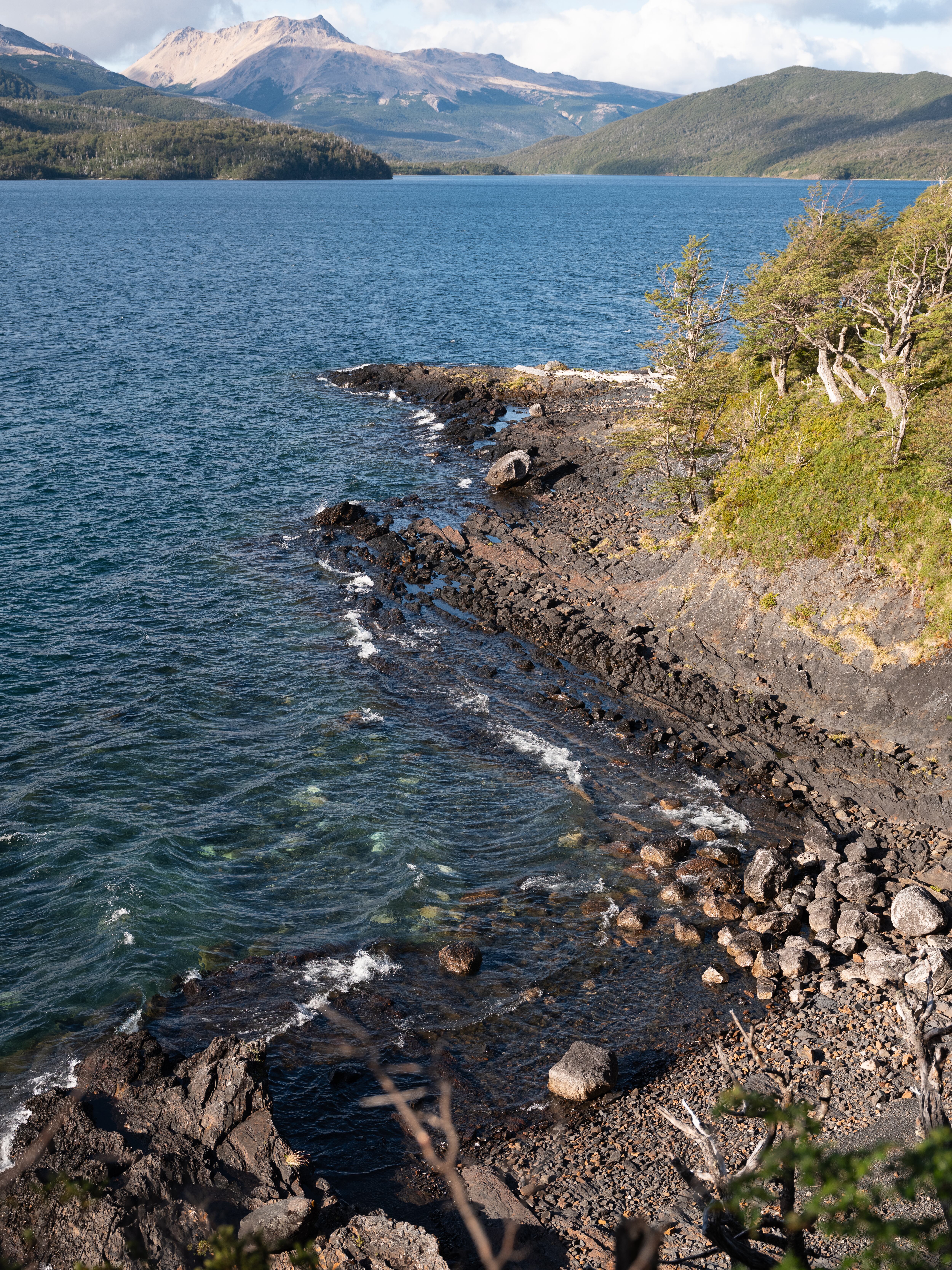 Los huemules suelen bajar a la costa de los lagos para buscar alimentos.