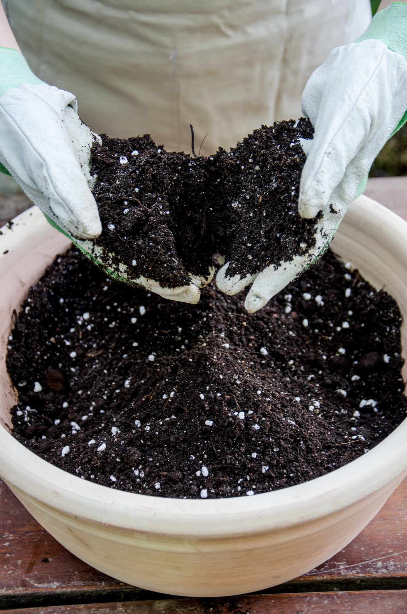 Renovar el sustrato es una tarea fundamental cuando se cultiva en macetas