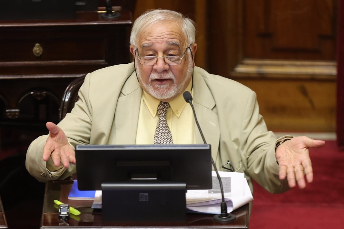 Pagotto, en una sesión en el Senado