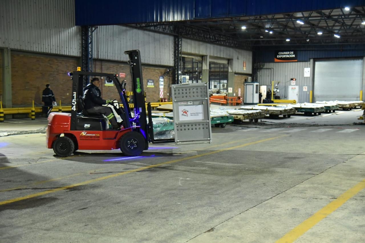 El traslado de las jaulas de los felinos en Ezeiza, previo a los traslados a los santuarios