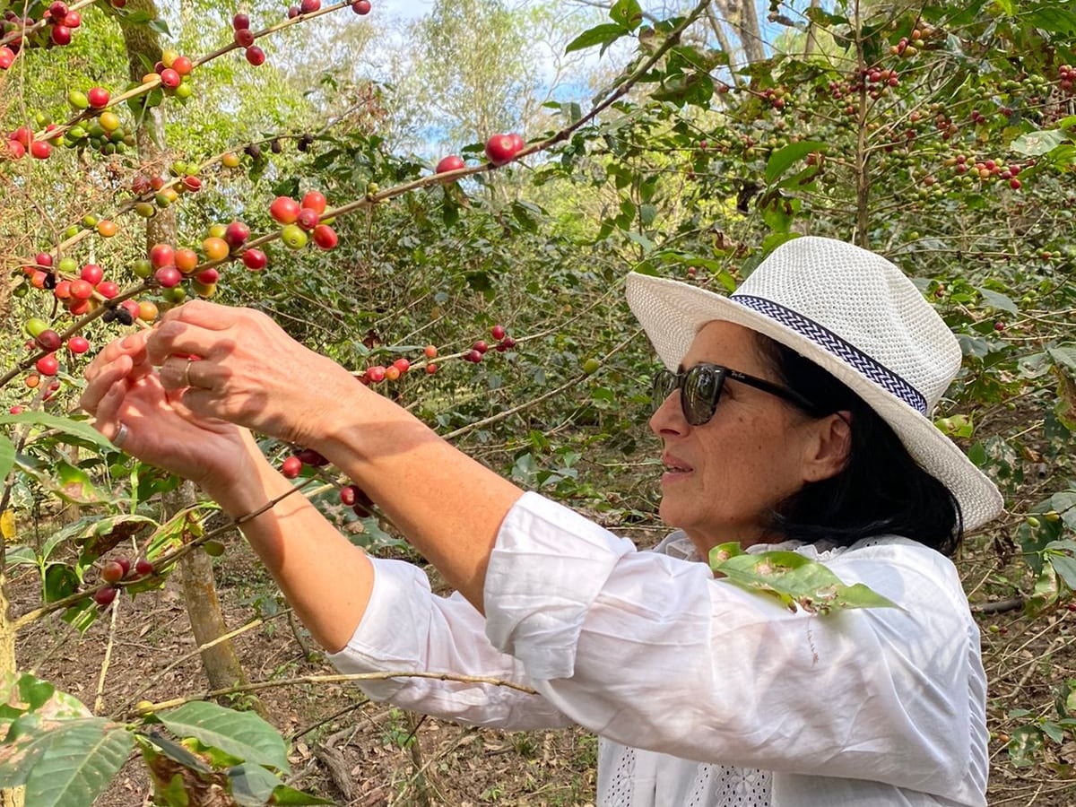 Graciela Ortiz, cafetalera de Salta, Argentina