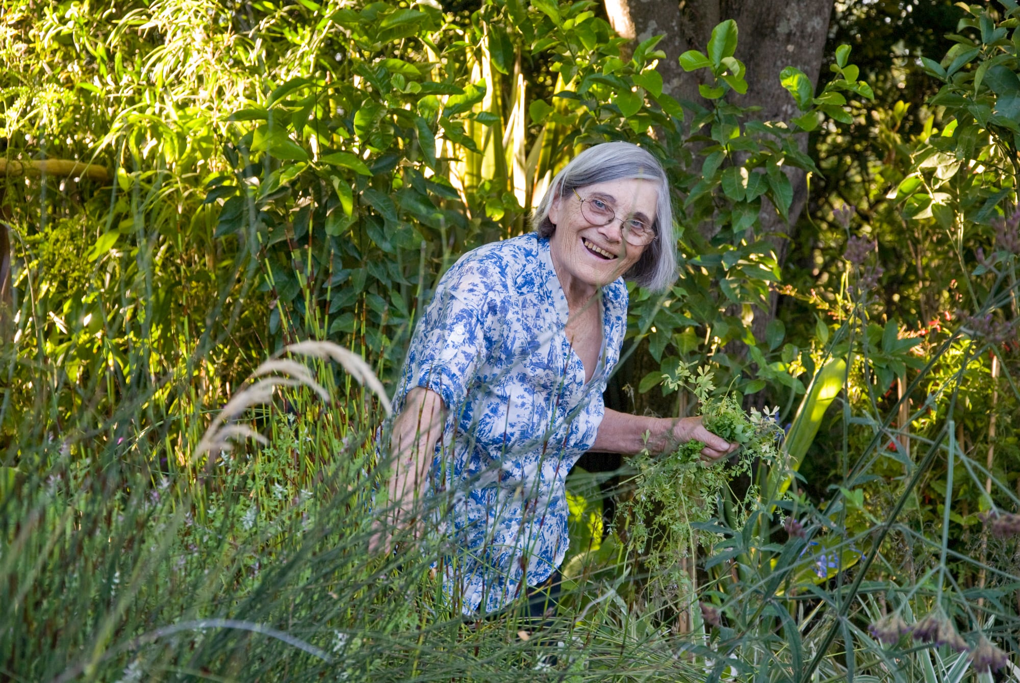 Al visitar el jardín de un paisajista en Francia se inspiró con la idea de no dejar espacio vacío y querer tener