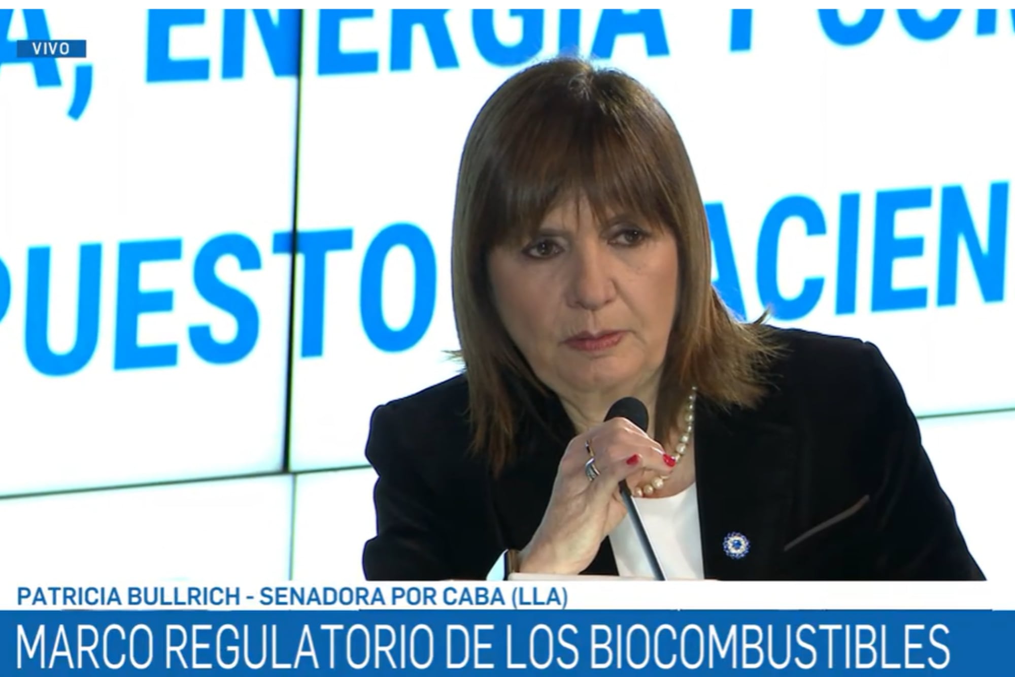 Patricia Bullrich, senadora de LLA
