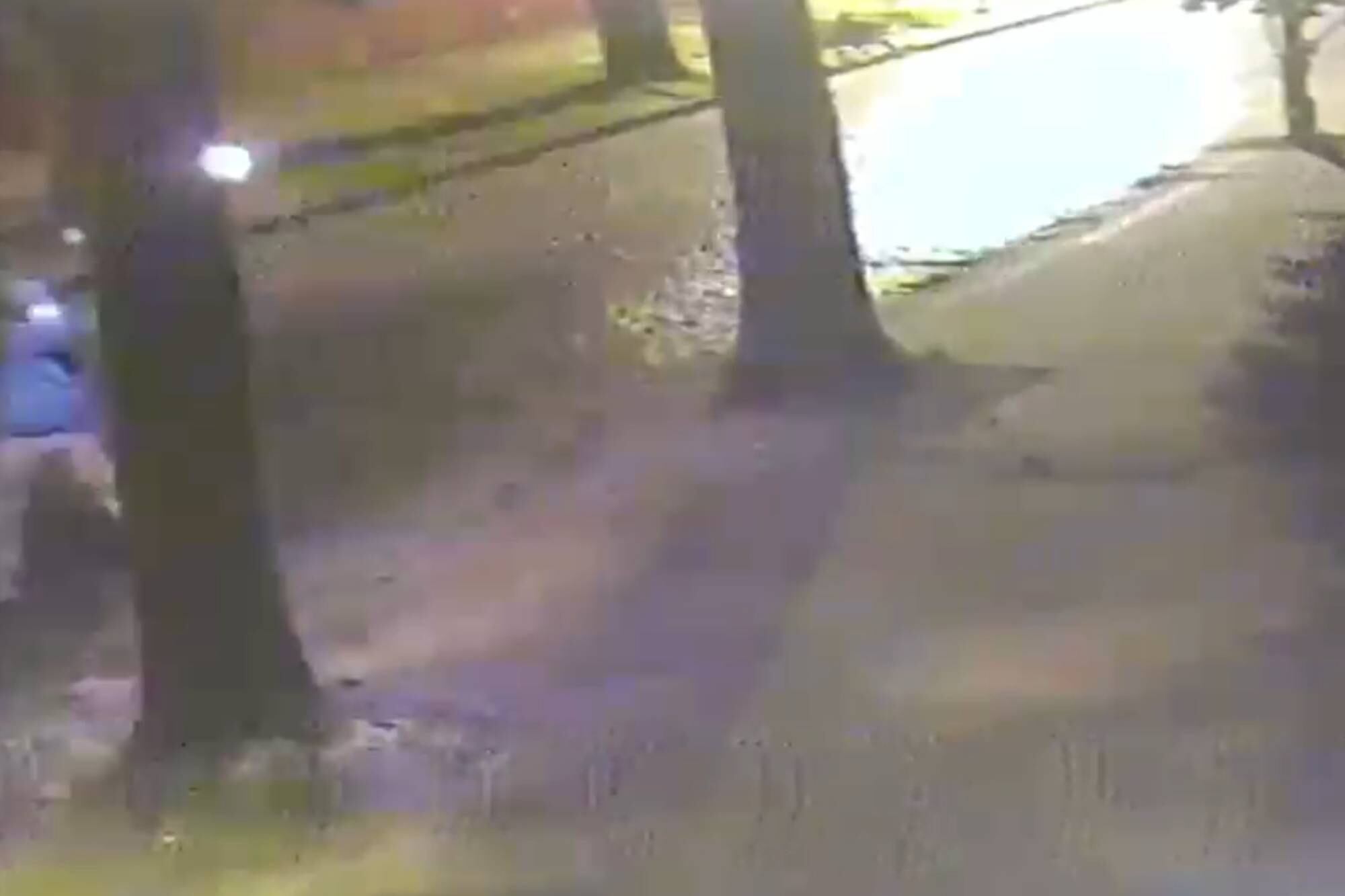 Detienen a un sospechoso que tenía armas y una bomba molotov: estaría detrás de ataques antisemitas
