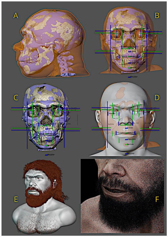 Proceso de aproximación facial compartido por los investigadores