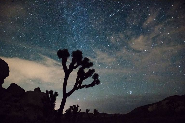 Cuándo será la lluvia de estrellas de agosto y desde dónde podrá verse