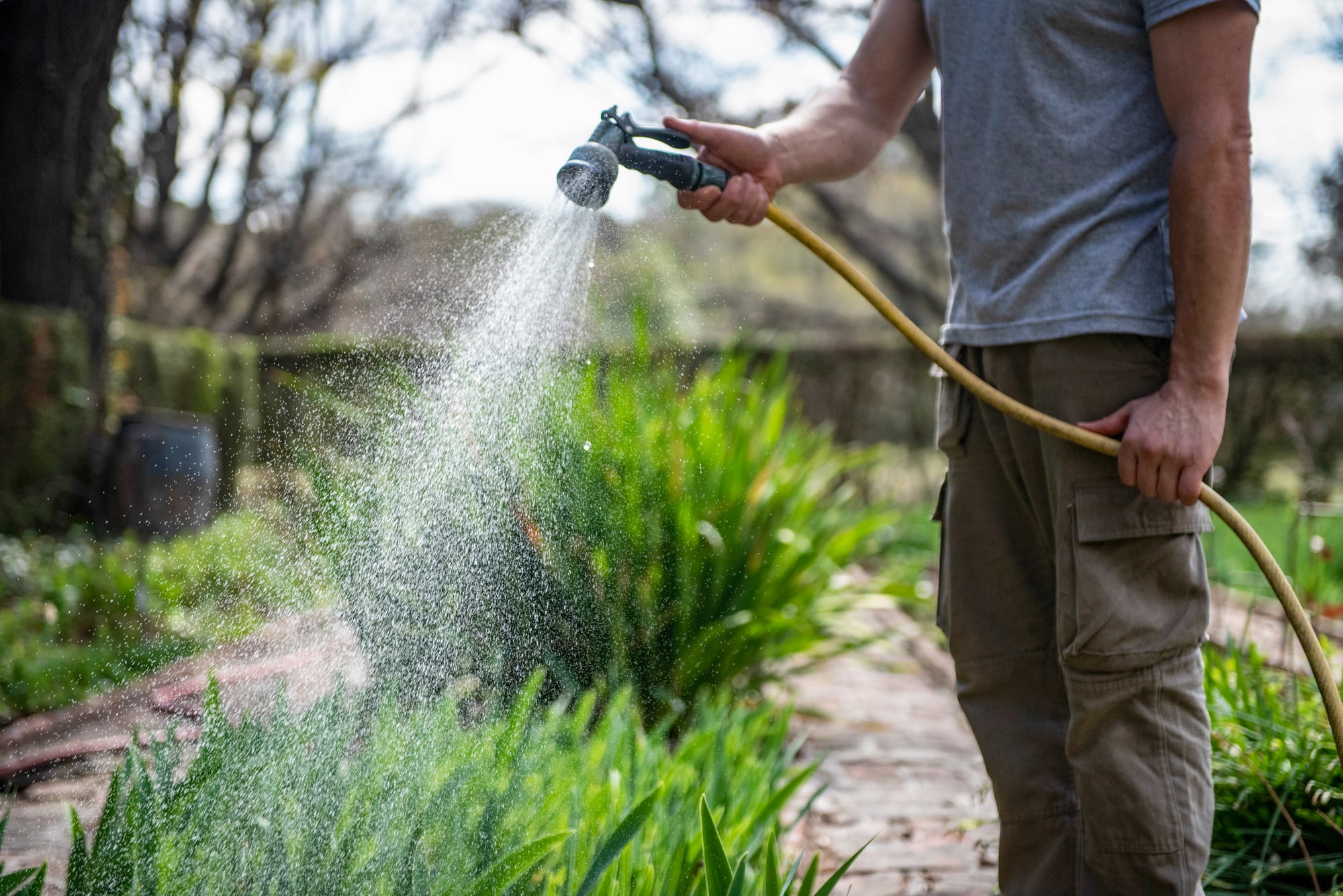 Al salir del invierno, el jardín cambia sus necesidades hídricas