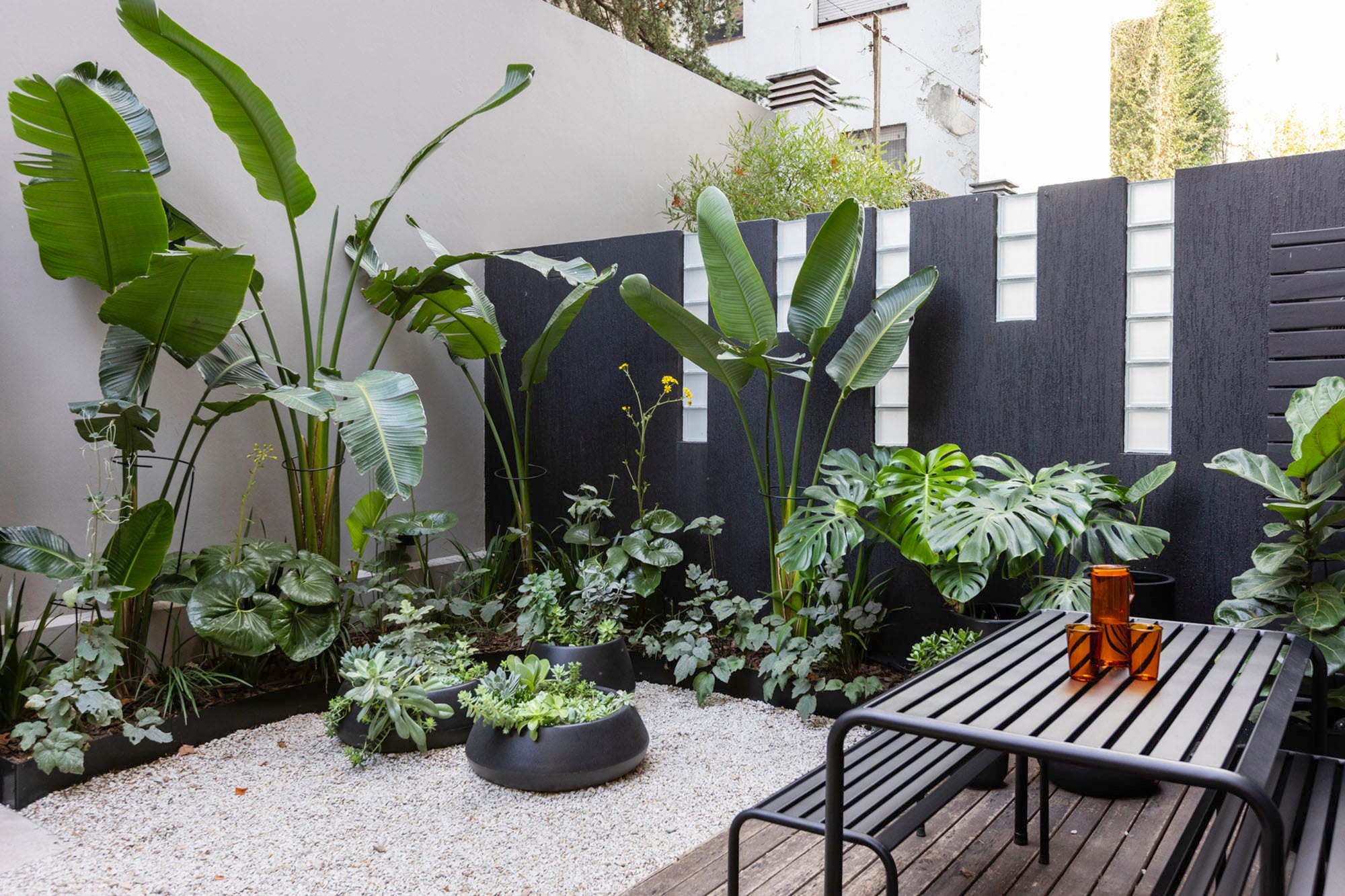 La combinación de verdes y blancos que le da vida al patio