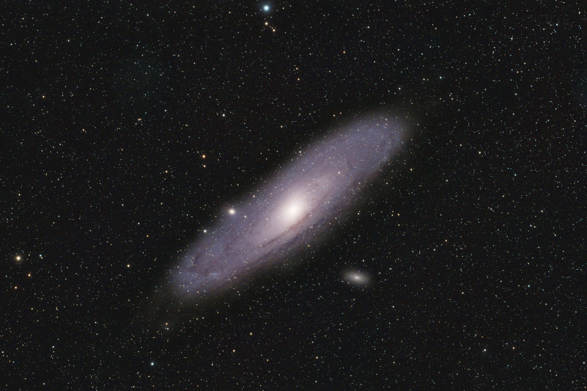 Una científica del Conicet, junto a otros investigadores, descifró cómo se originan las galaxias más masivas del universo