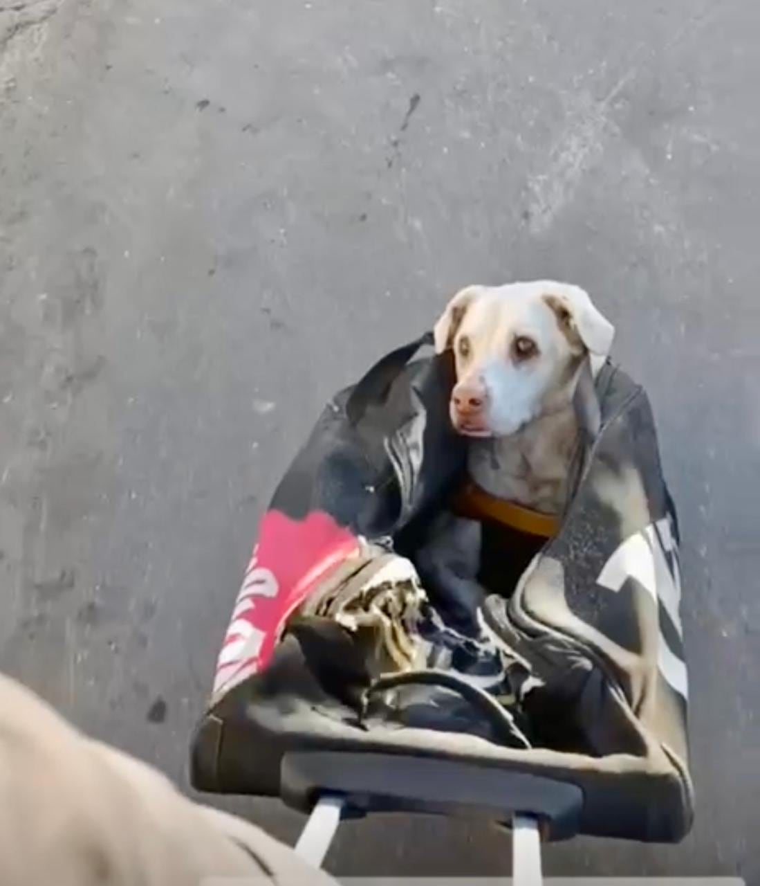 Catalina no puede caminar y tiene baja visión.