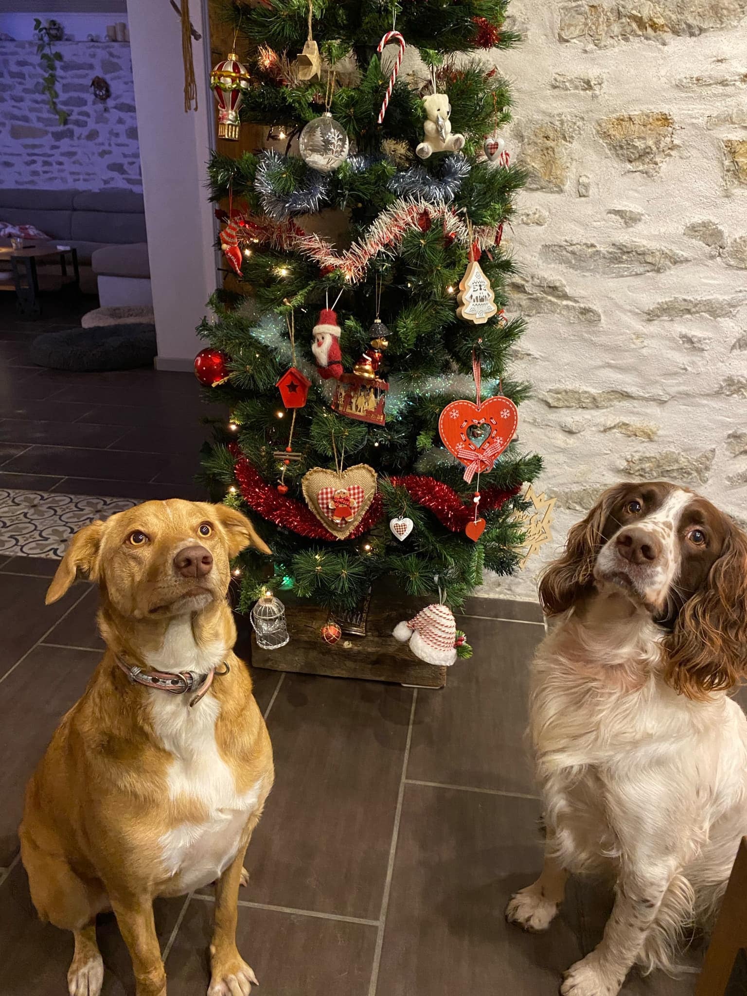 Zena ahora vive en Francia y tiene un hermano.