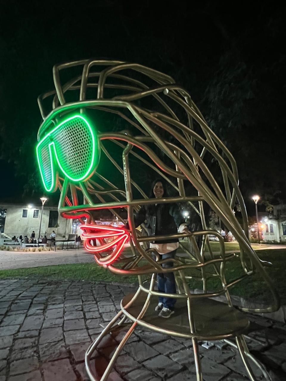 Así se ve de noche el