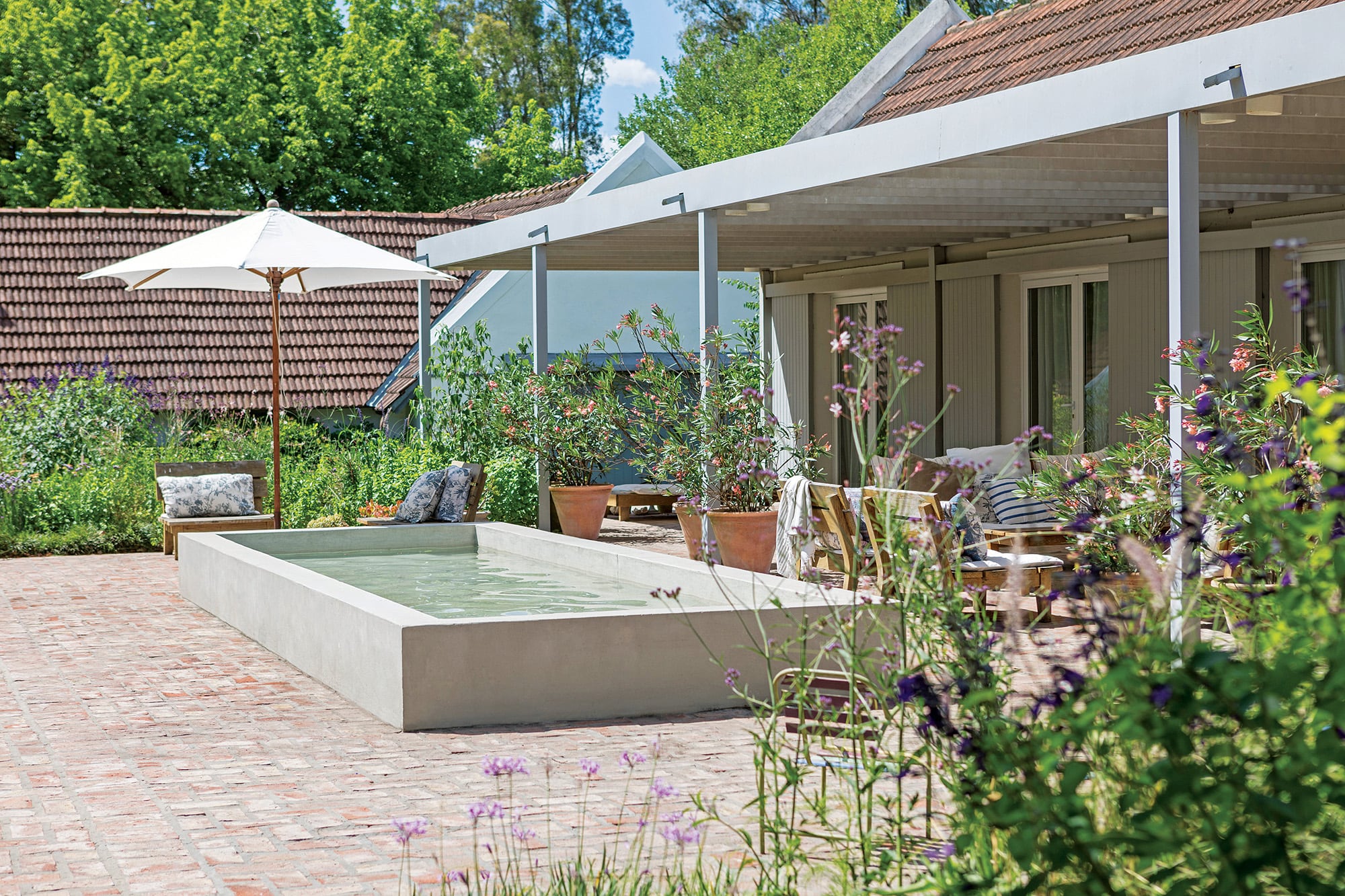 En una casa diseñada por Tomás Magrane y Martina Correa, lo que iba a ser un estanque terminó convirtiéndose en una pileta de 50 cm de profundidad cuando llegaron los hijos