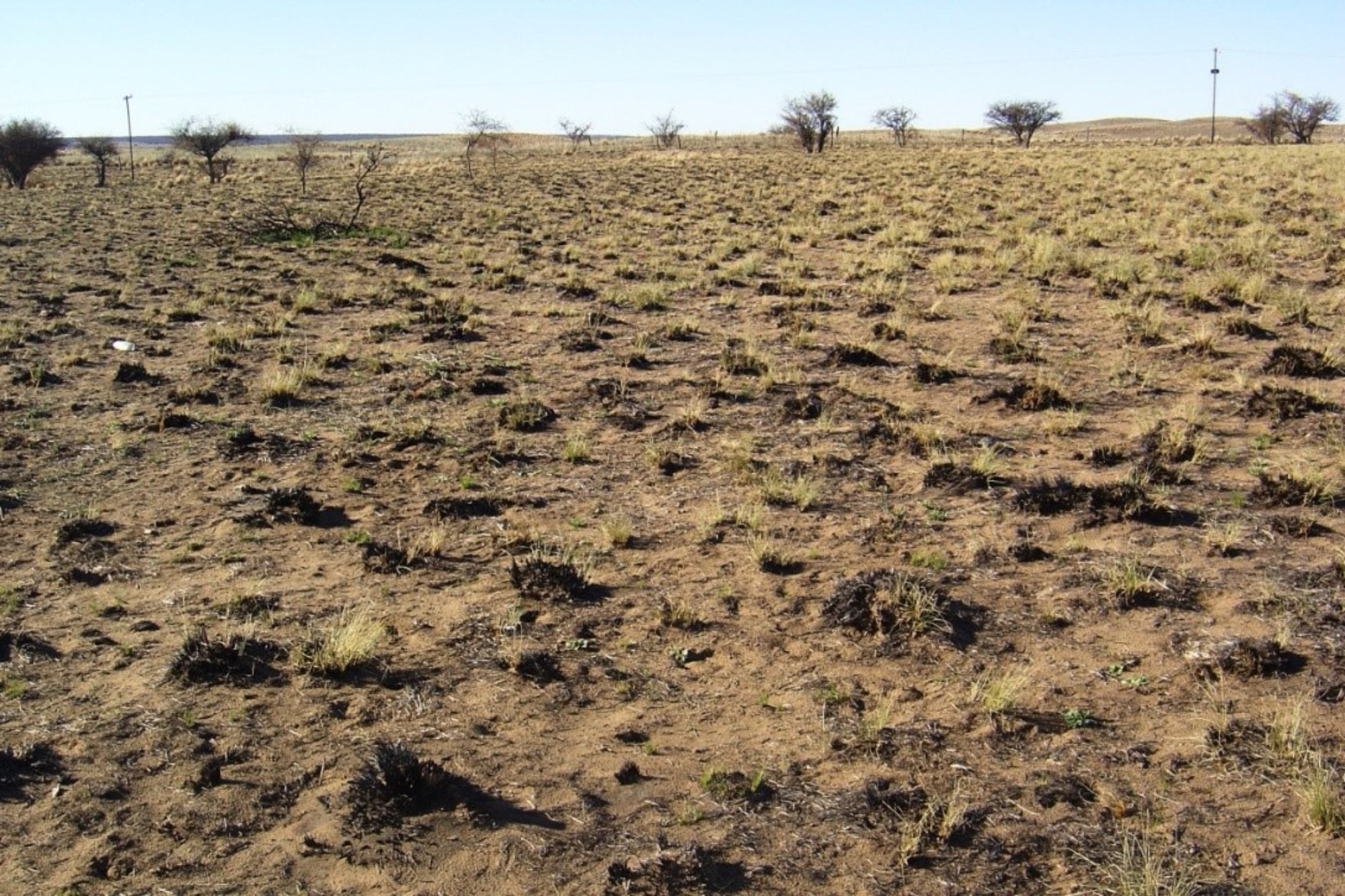 Opinión. La conservación del suelo es un desafío pendiente para el país