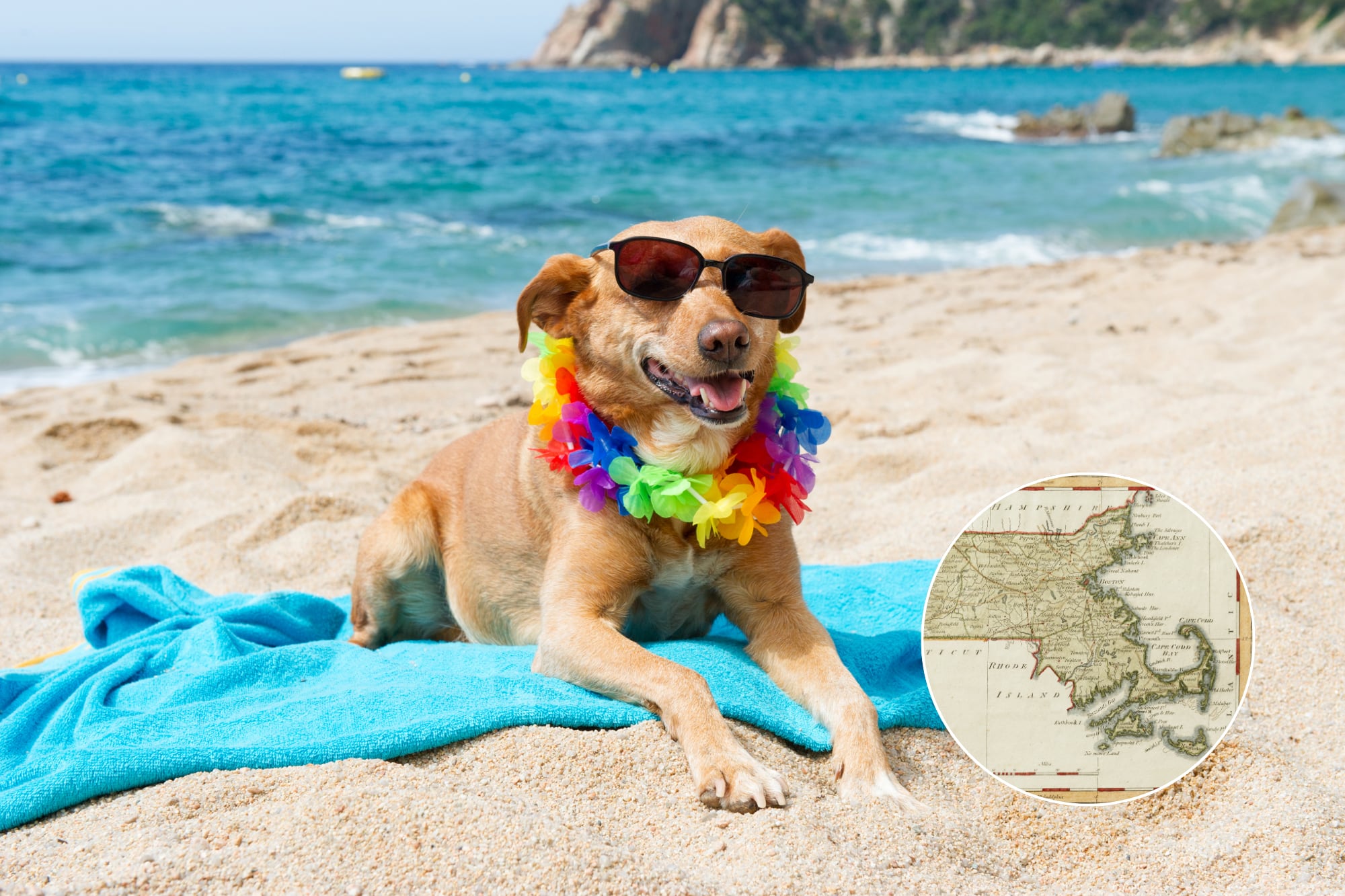 Playas como Revere Beach y Nantasket figuran entre las 17 zonas costeras restringidas para mascotas hasta el 15 de septiembre