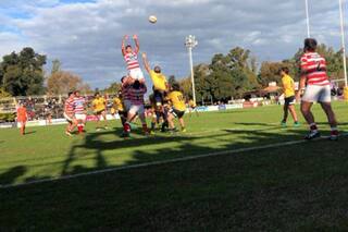 La defensa de Alumni sigue siendo la bandera para buscar un nuevo título