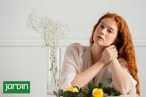 Las plantas que hidratan, regeneran y protegen la piel están en el jardín de casa