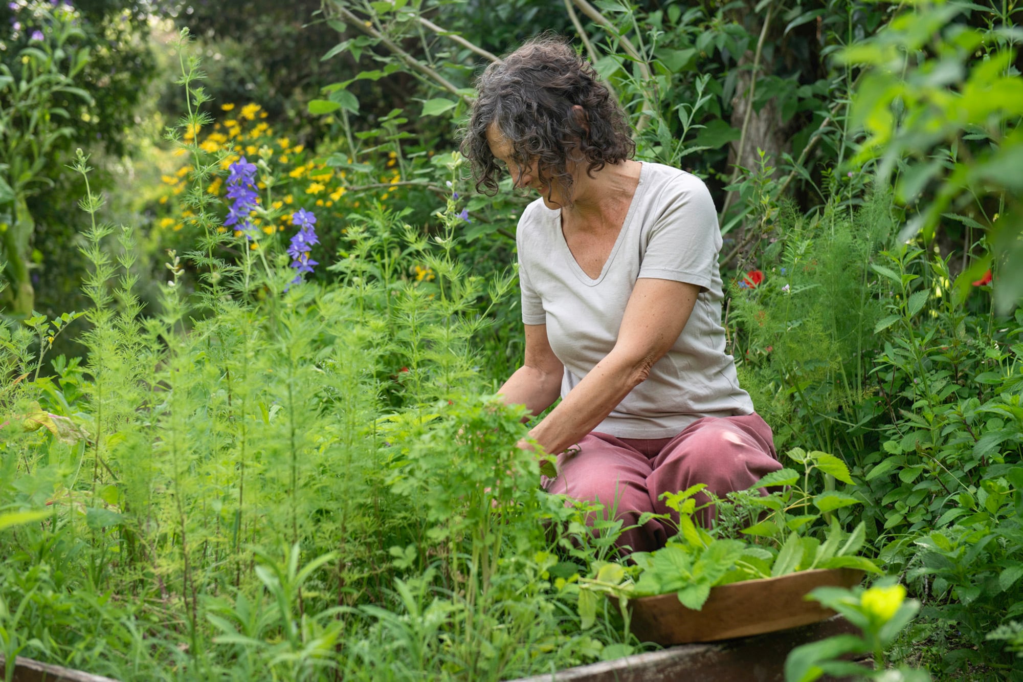 Gabriela Quiroga cosecha de su jardín lo que luego terminará en blends