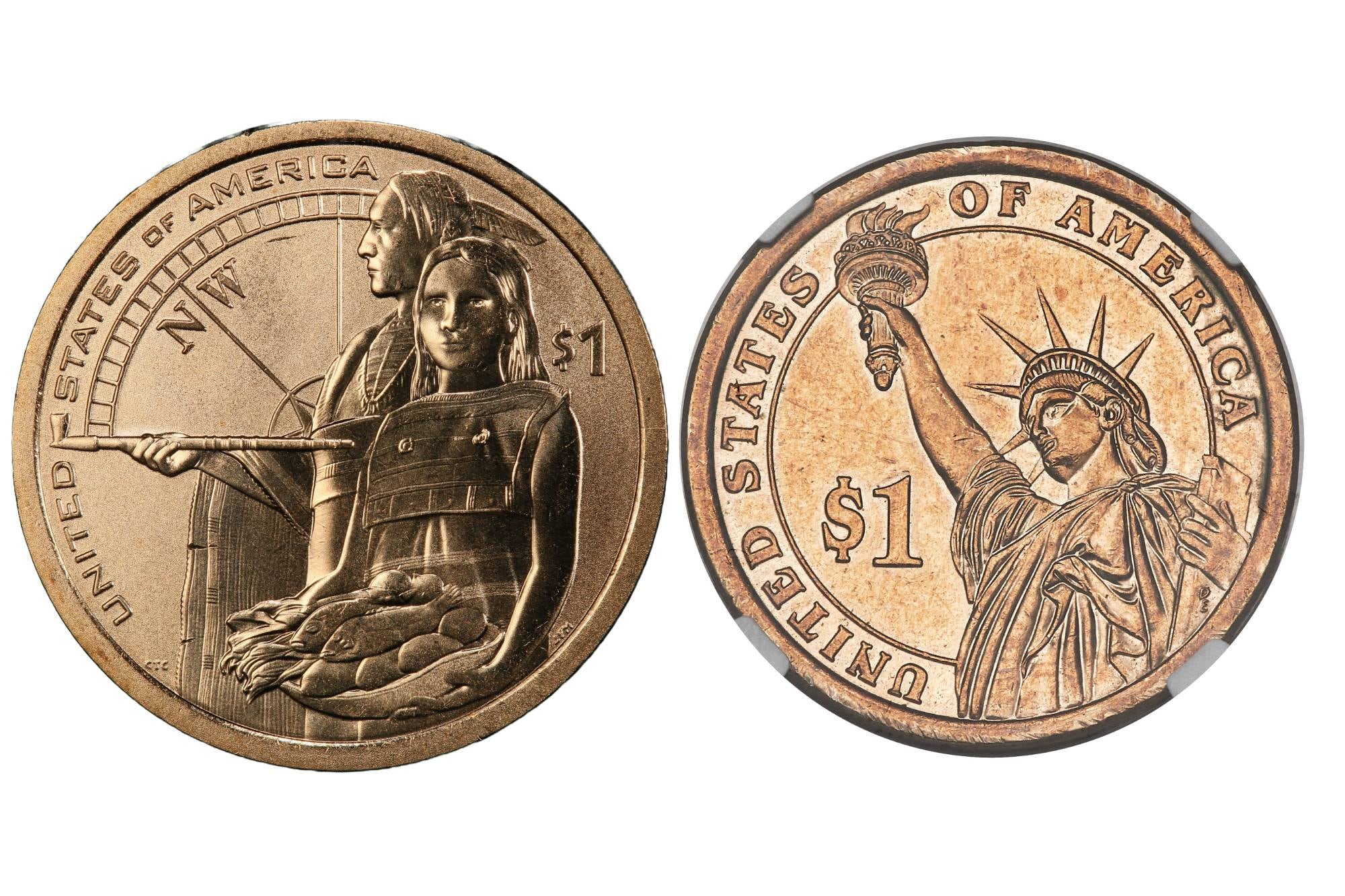 El dólar Sacagawea debía tener en su reverso la imagen de dos nativos americanos con un costal de pescados. Sin embargo, presenta la imagen de la estatua de la Libertad