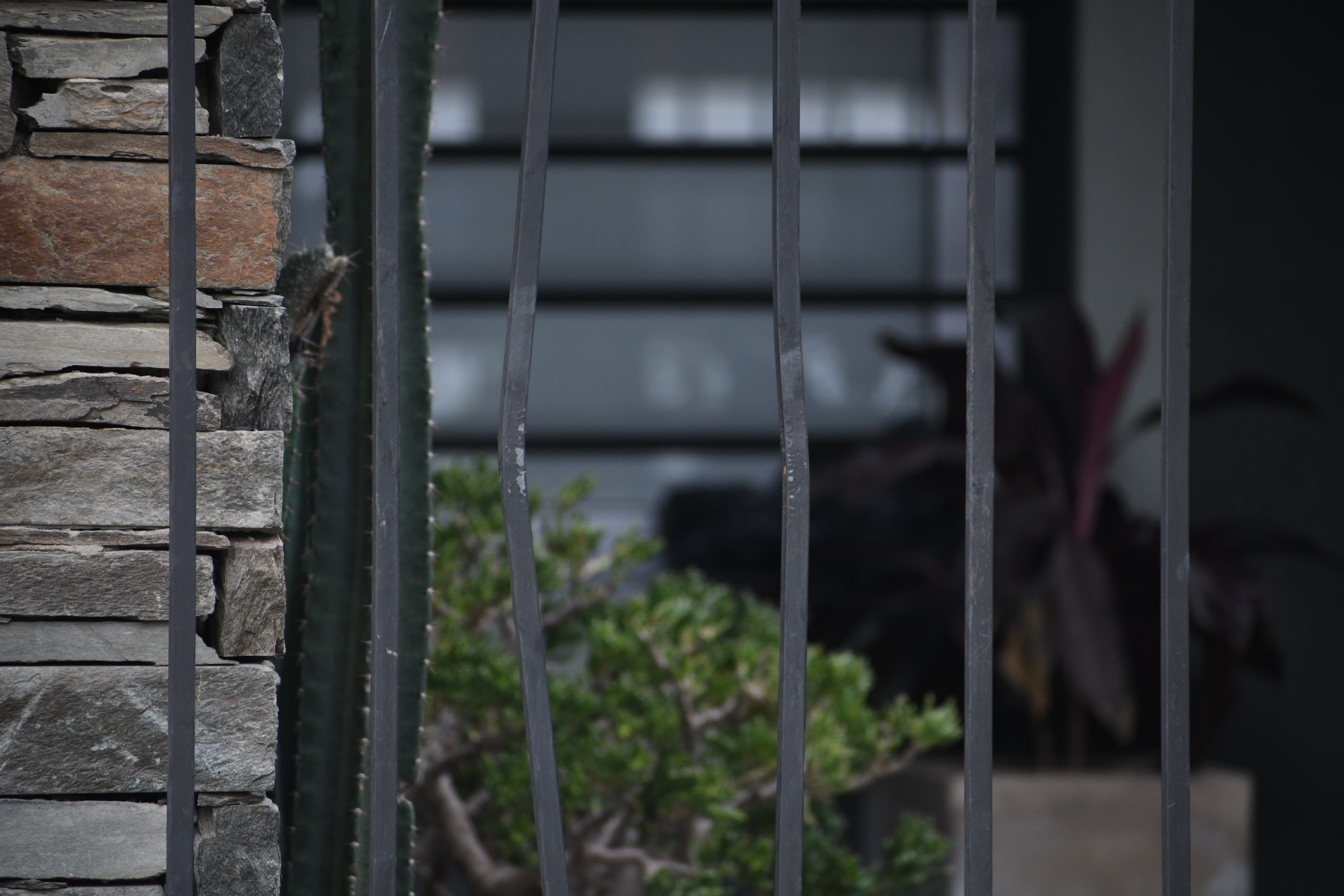 La reja forzada en el domicilio de Leonardo Ezequiel Vence, que fue asesinado en Quilmes