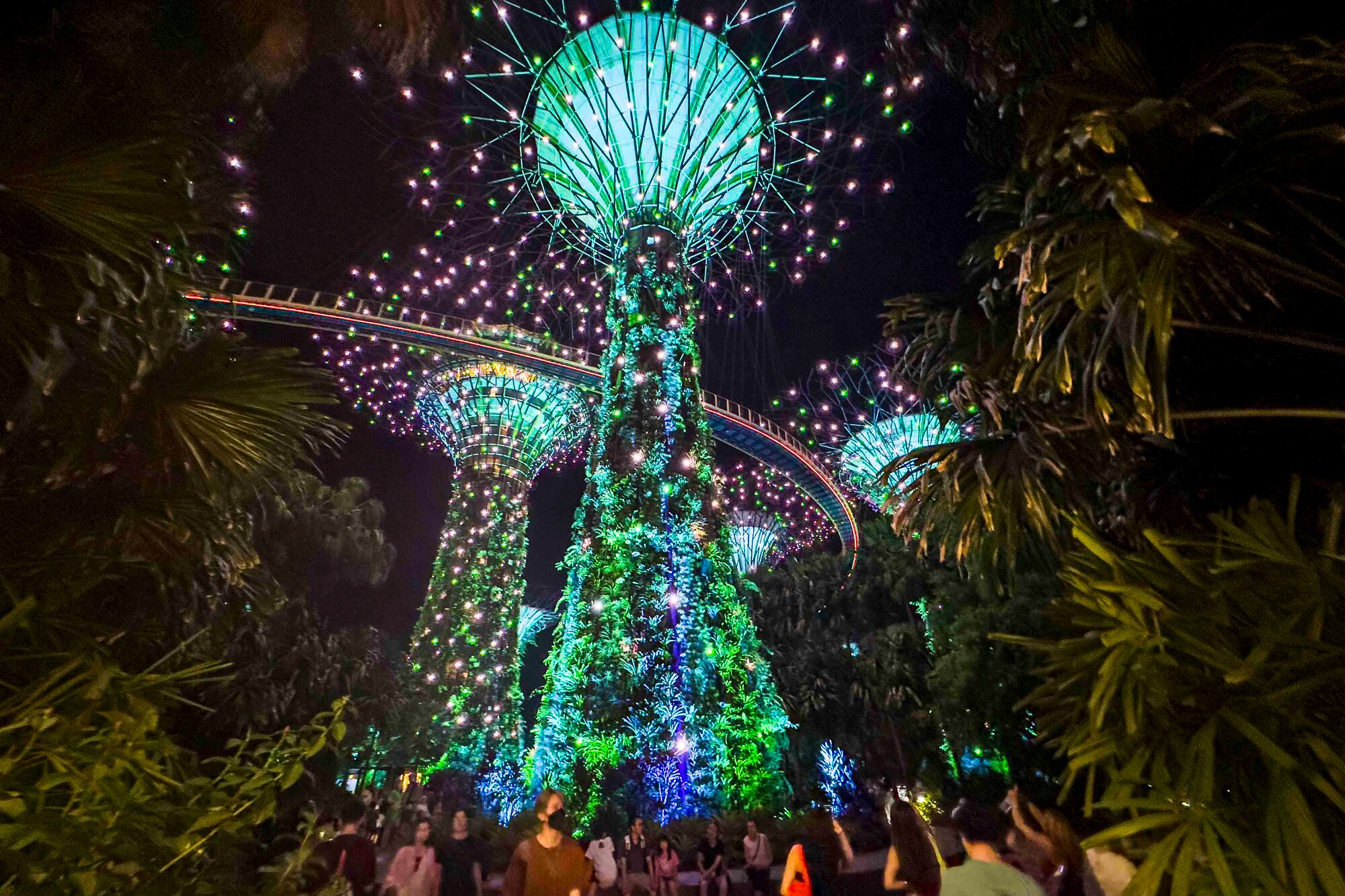 De noche los superárboles despliegan un show de luces