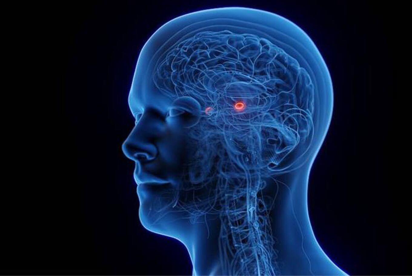 En las personas con Asperger se activa la corteza prefrontal en la cual sucede el planeamiento