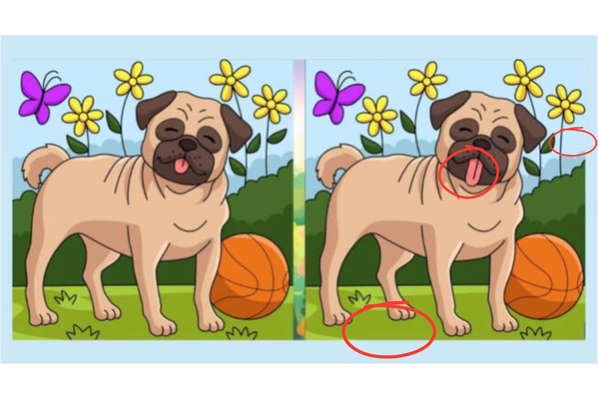 Las tres diferencias que estaban ocultas en la imagen