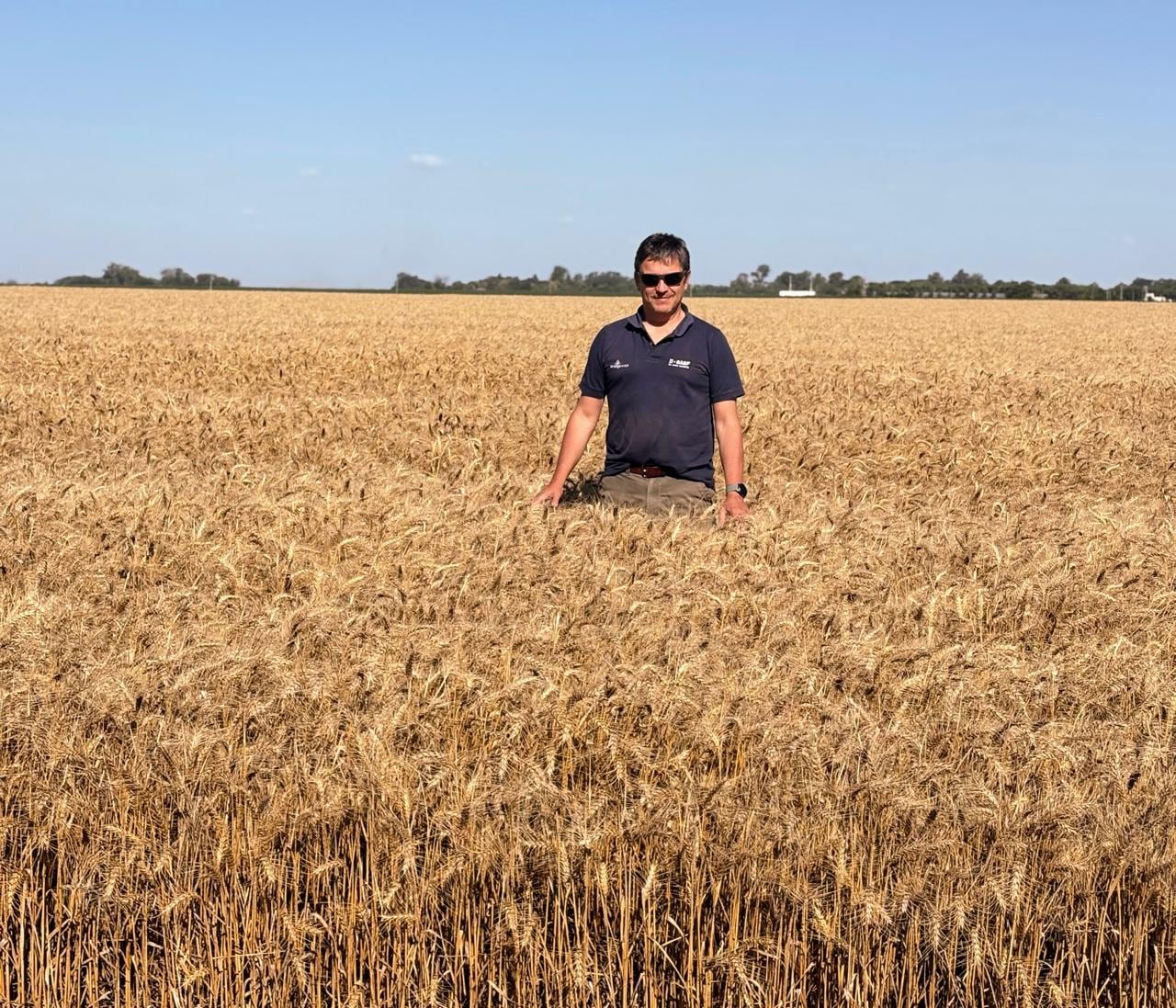 “No me cambia la historia”: los productores no modificarán sus planes tras la baja de las retenciones, aunque valoran el gesto del Gobierno