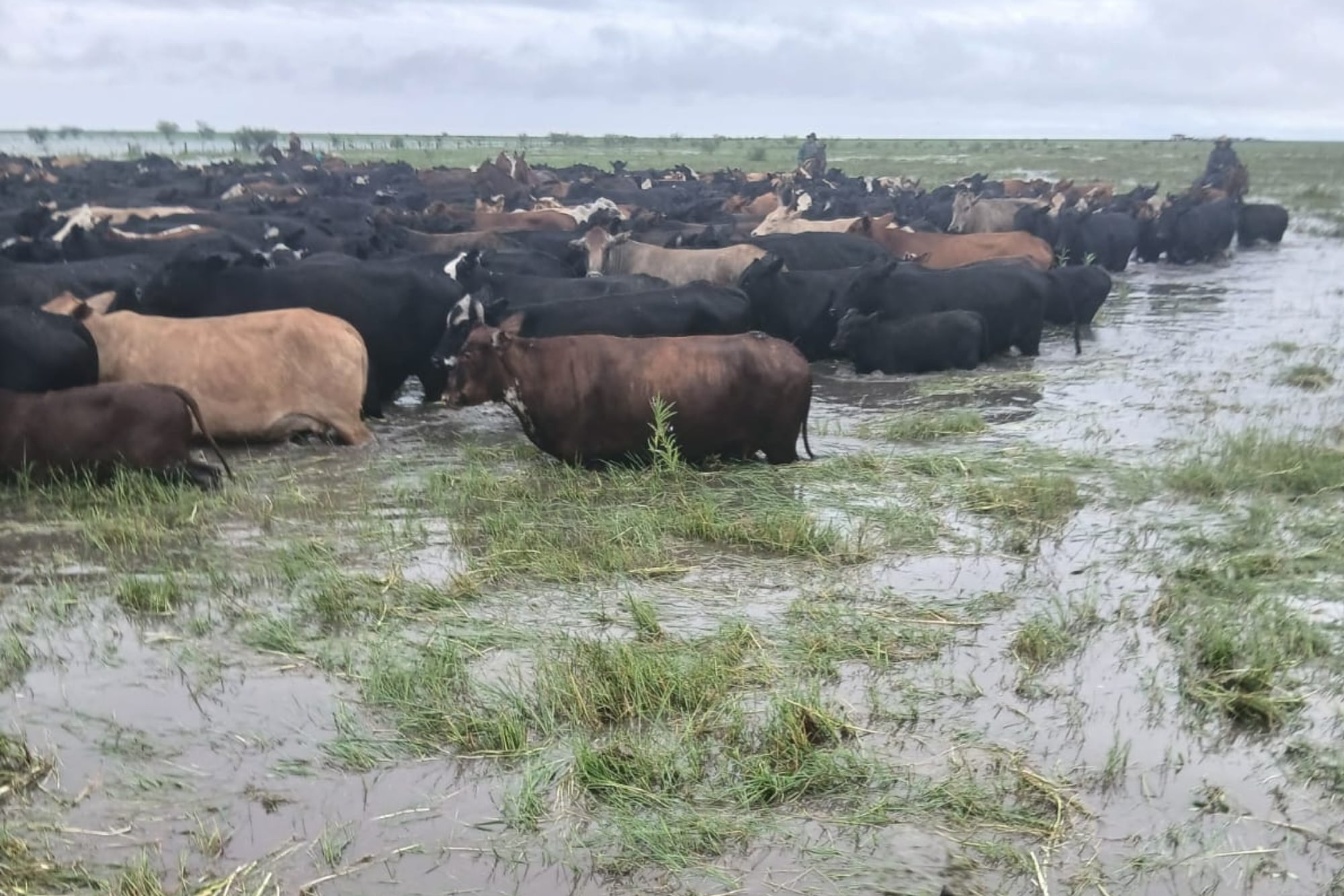 Las inundaciones dejaron campos aislados y caminos rurales intransitables en algunos sectores del norte santafesino