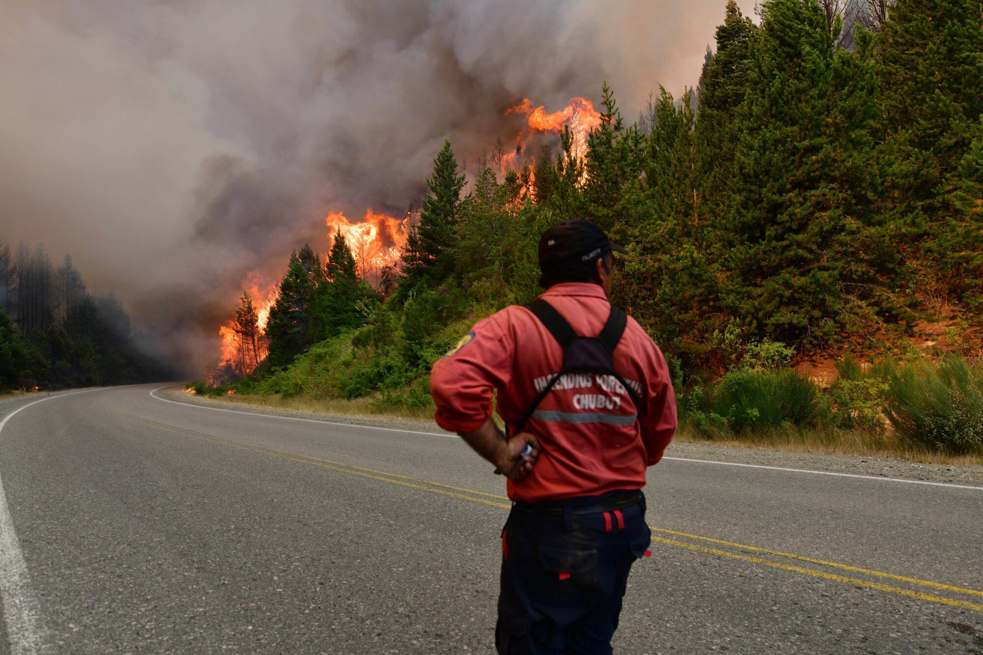 Expertos calcularon cuánto cuestan los incendios en la Patagonia y llegaron a conclusiones alarmantes: “Podríamos ahorrar millones”